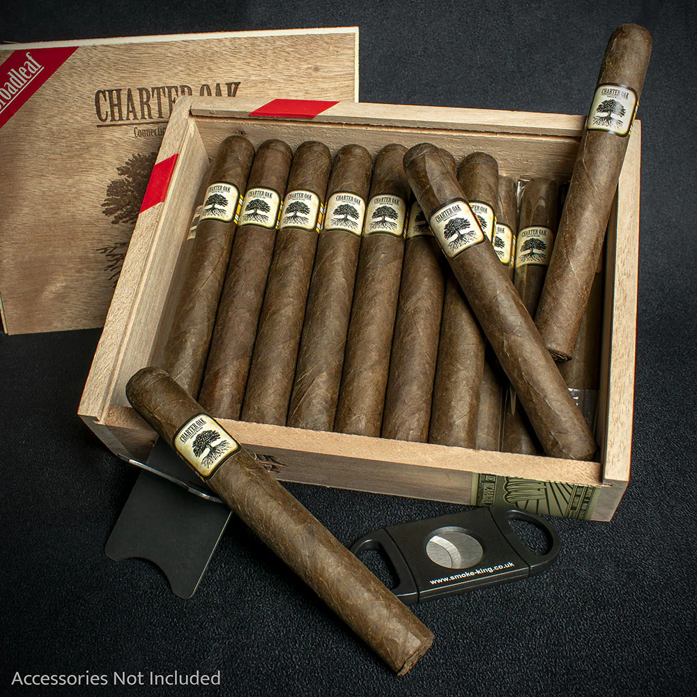 Foundation Cigars Charter Oak Connecticut Broadleaf Toro Cigar - Single - Image 3