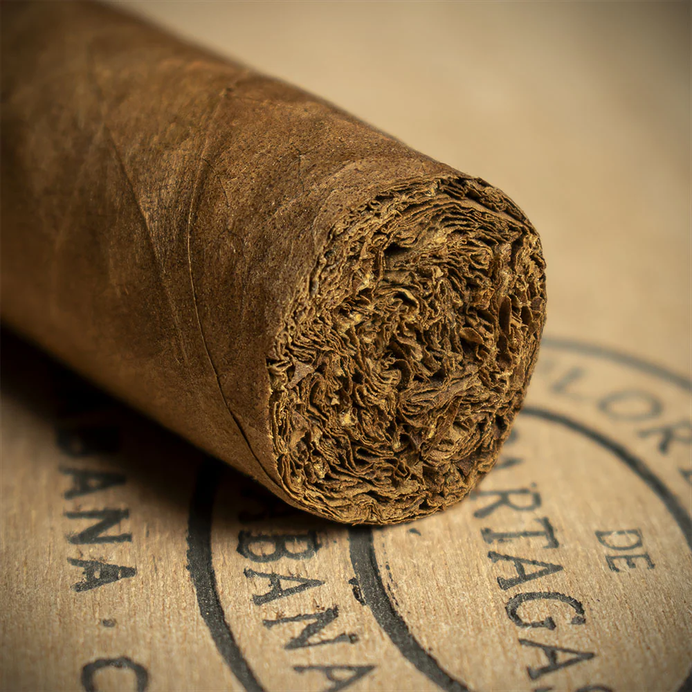 Partagas Serie E No.2 Cuban Cigar - Single - Image 6